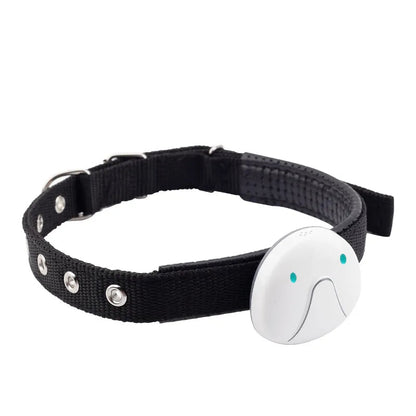 Aria GPS Dog Collar – Adjustable Tracking Collar with Smartphone Connectivity