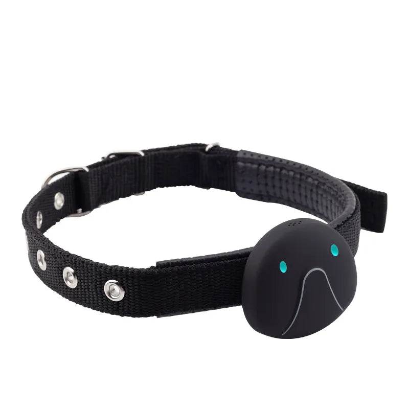 Aria GPS Dog Collar – Adjustable Tracking Collar with Smartphone Connectivity