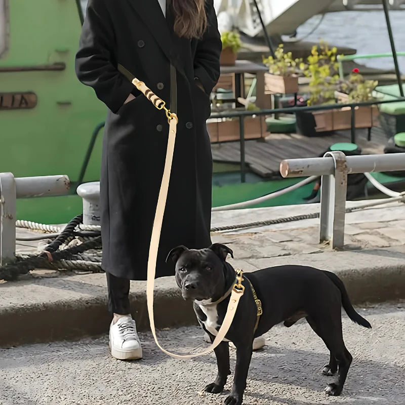 Grip Leash for Dogs