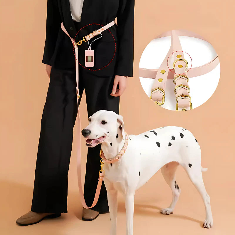Grip Leash for Dogs
