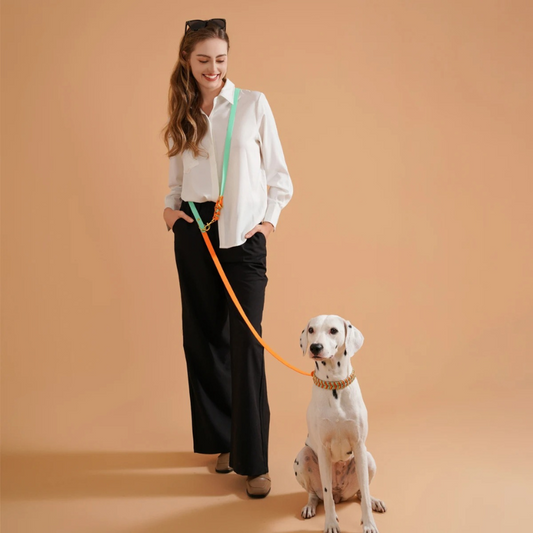 Grip Leash for Dogs