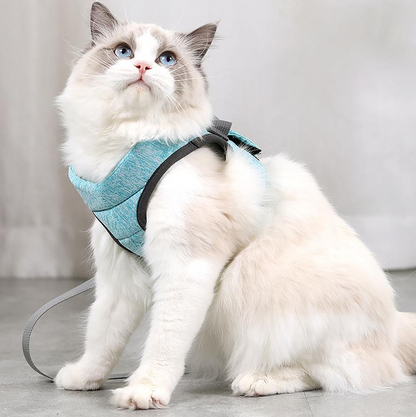 Harness Set for Cats