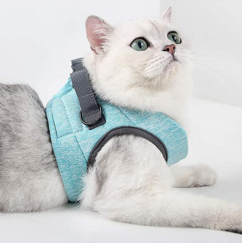Harness Set for Cats