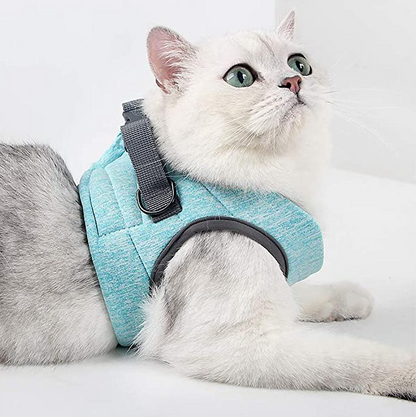 Harness Set for Cats
