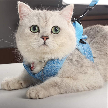 Harness Set for Cats