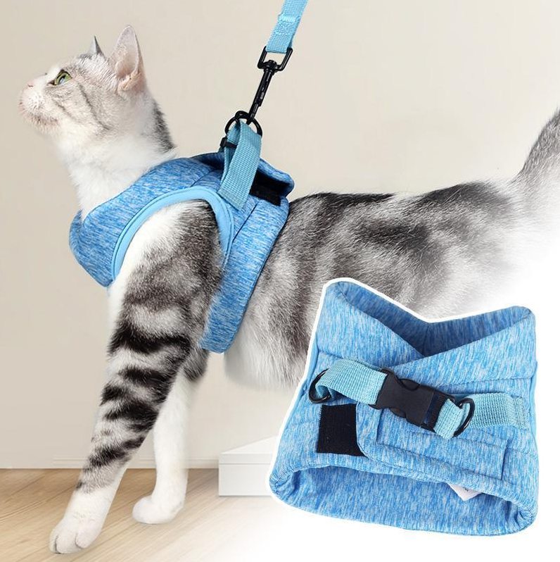 Harness Set for Cats