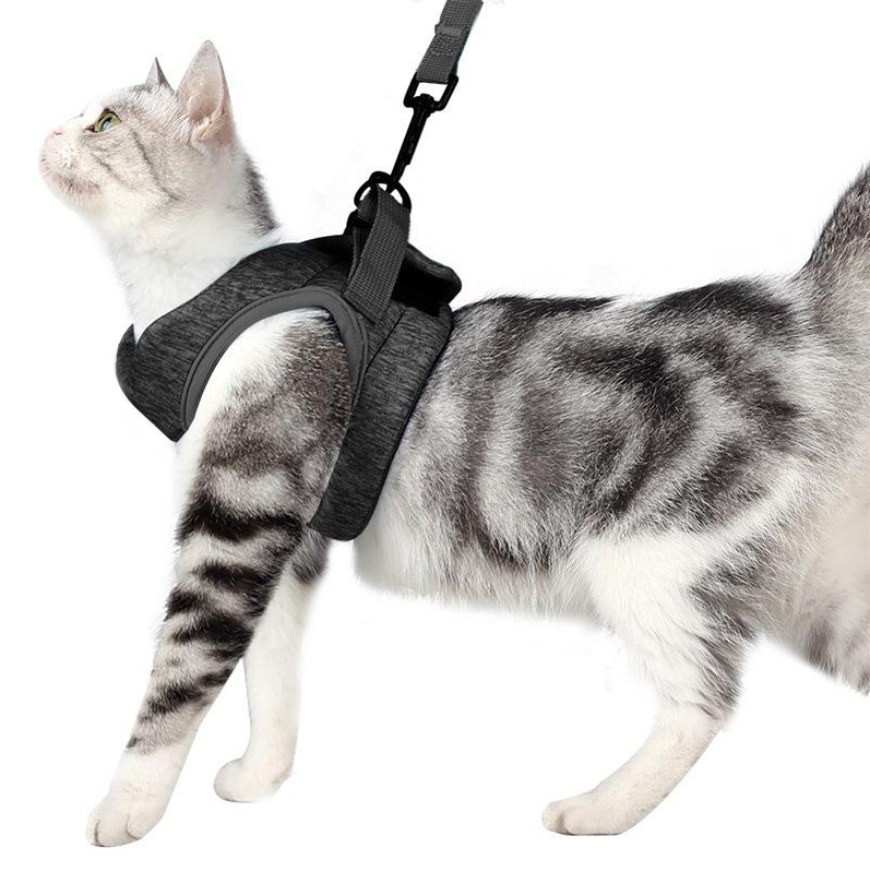 Harness Set for Cats