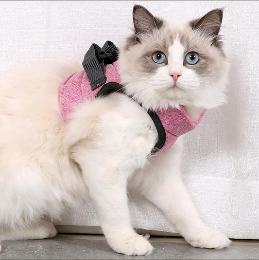 Harness Set for Cats