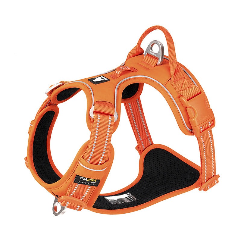 Harness for Dogs