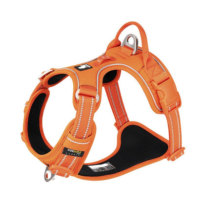 Harness for Dogs