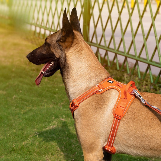 Harness for Dogs