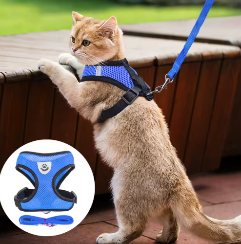 Adjustable Harness set for Cats