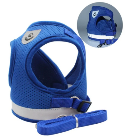 Adjustable Harness set for Cats