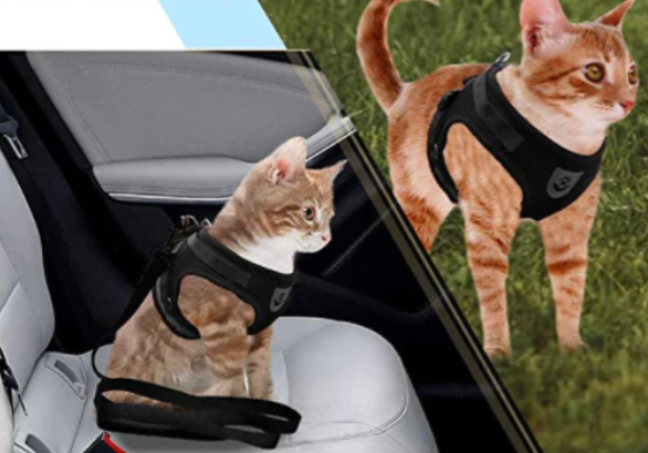 Adjustable Harness set for Cats