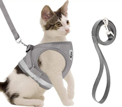 Adjustable Harness set for Cats