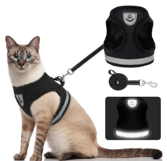 Adjustable Harness set for Cats