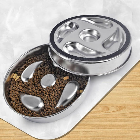 Slow Dog Feeding Bowl