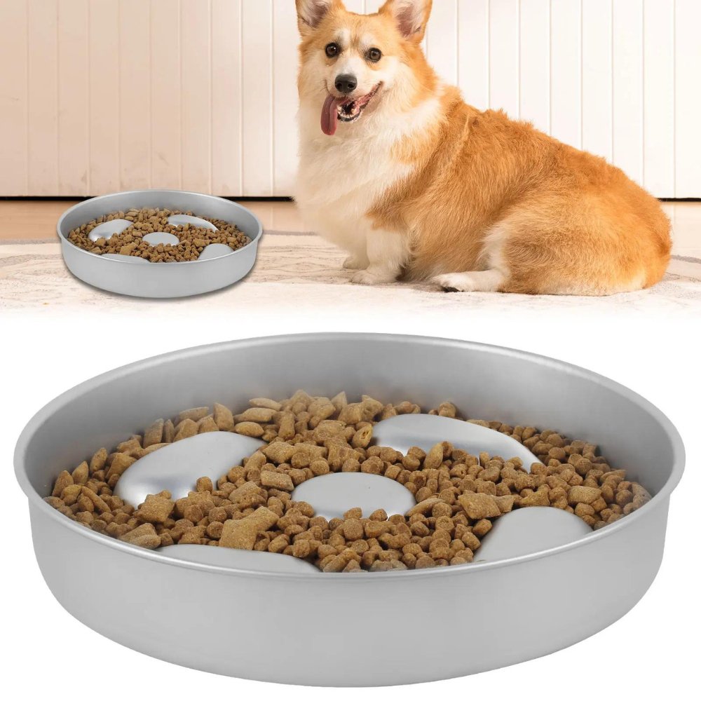 Slow Dog Feeding Bowl