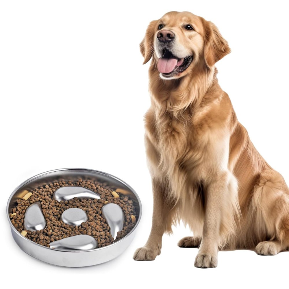 Slow Dog Feeding Bowl