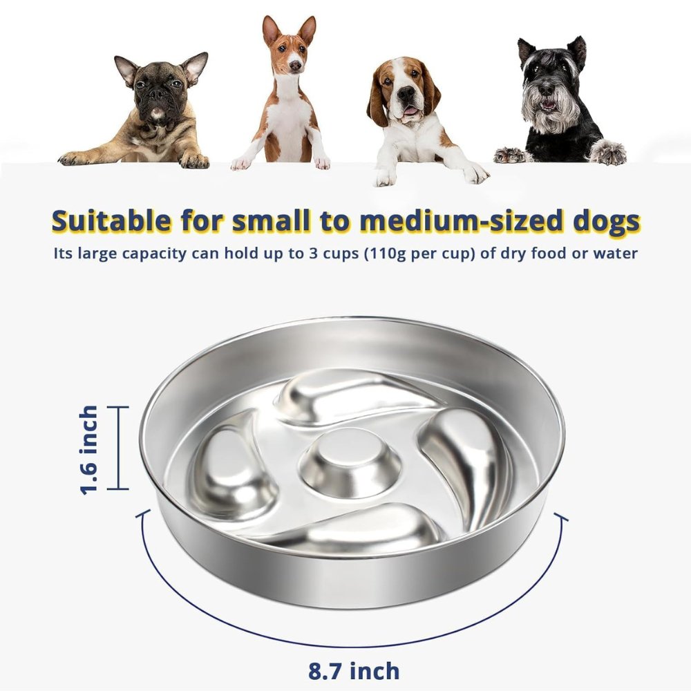 Slow Dog Feeding Bowl