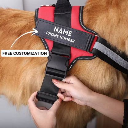 Echo ID Harness – Personalized No-Pull Dog Harness with Reflective Trim