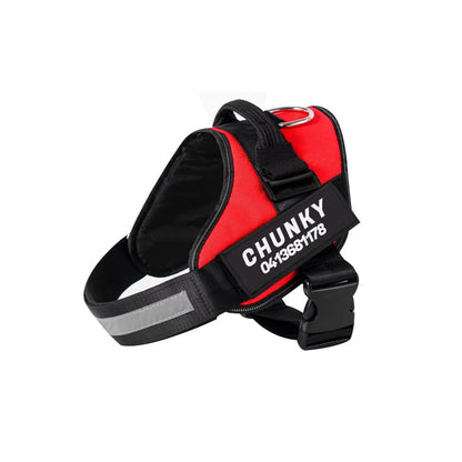 Echo ID Harness – Personalized No-Pull Dog Harness with Reflective Trim