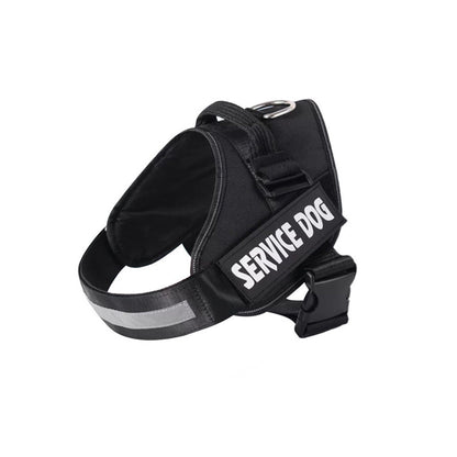 Echo ID Harness – Personalized No-Pull Dog Harness with Reflective Trim