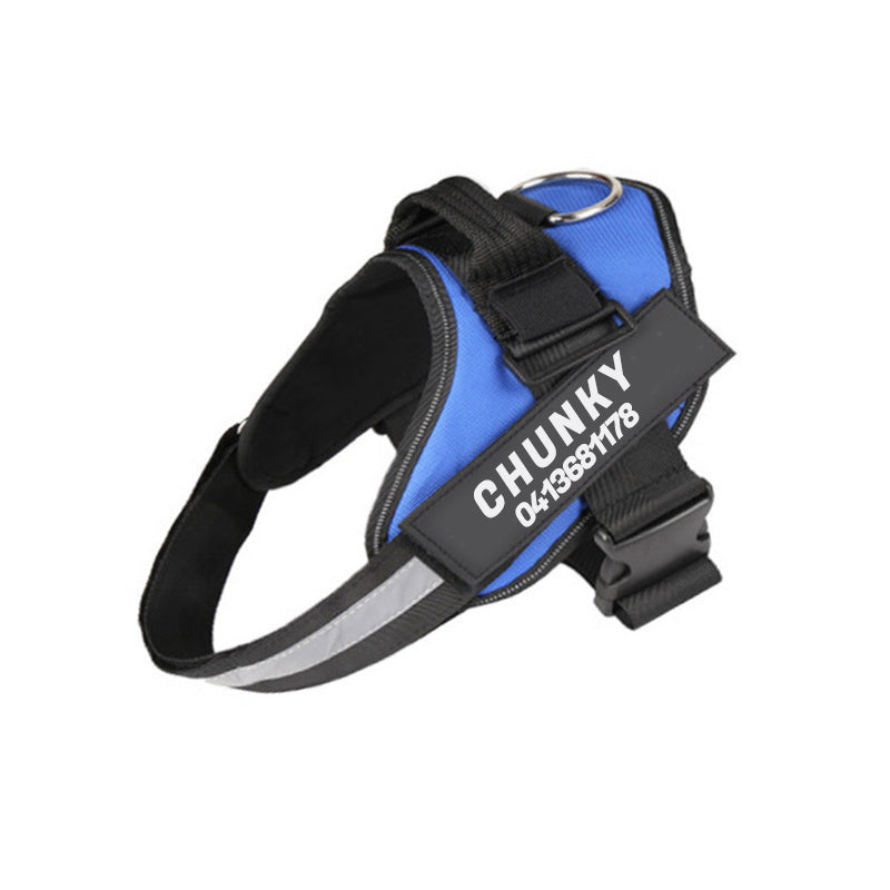 Echo ID Harness – Personalized No-Pull Dog Harness with Reflective Trim