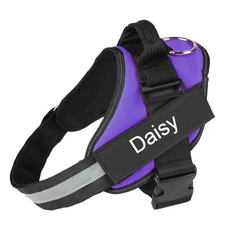 Echo ID Harness – Personalized No-Pull Dog Harness with Reflective Trim