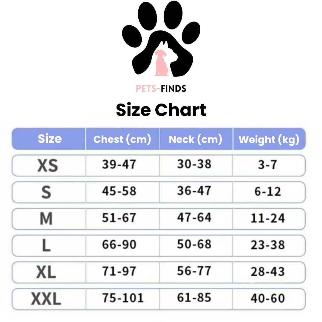 Echo ID Harness – Personalized No-Pull Dog Harness with Reflective Trim