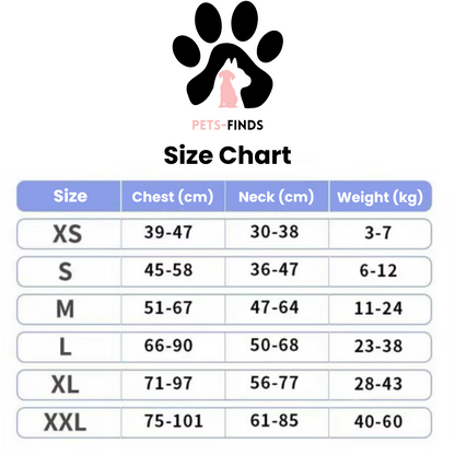 Echo ID Harness – Personalized No-Pull Dog Harness with Reflective Trim