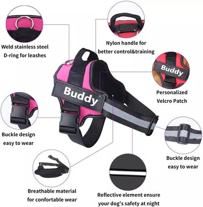 Echo ID Harness – Personalized No-Pull Dog Harness with Reflective Trim
