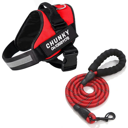 Echo ID Harness – Personalized No-Pull Dog Harness with Reflective Trim