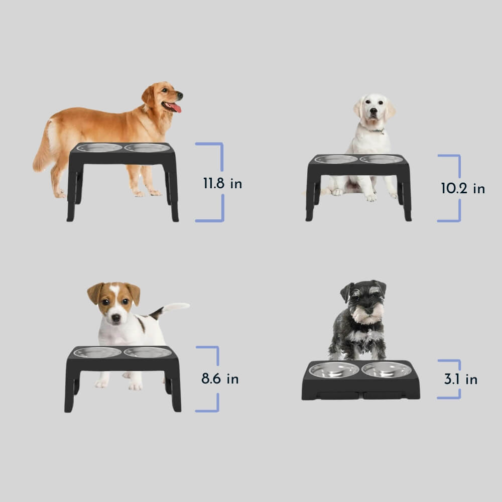 The Elevated Dog Bowl