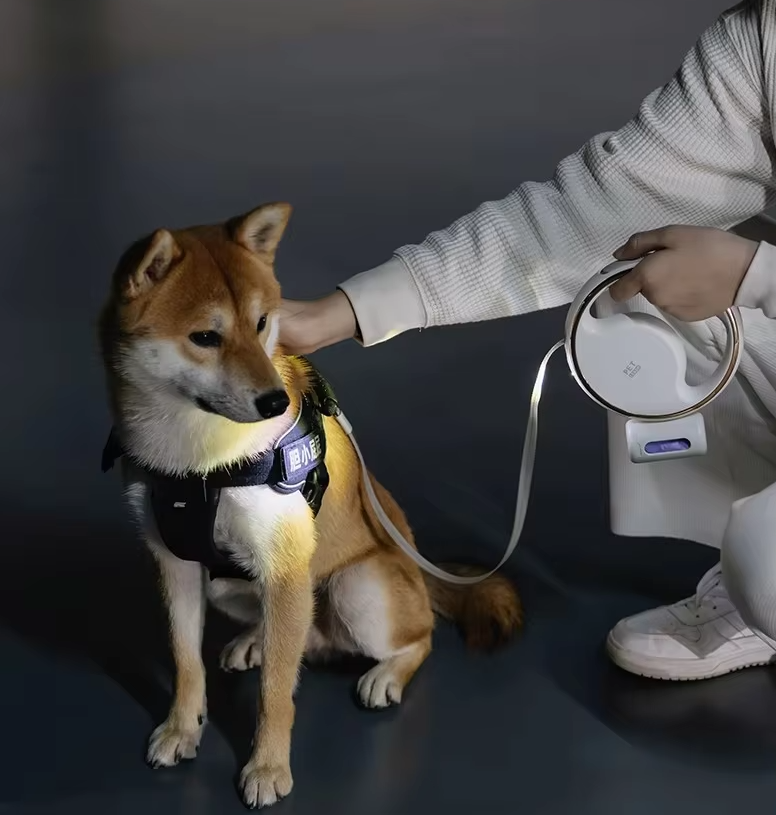 Riley NightLead – Retractable Dog Leash with LED Light & Reflective Detailing