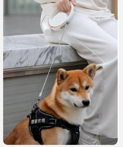 Riley NightLead – Retractable Dog Leash with LED Light & Reflective Detailing