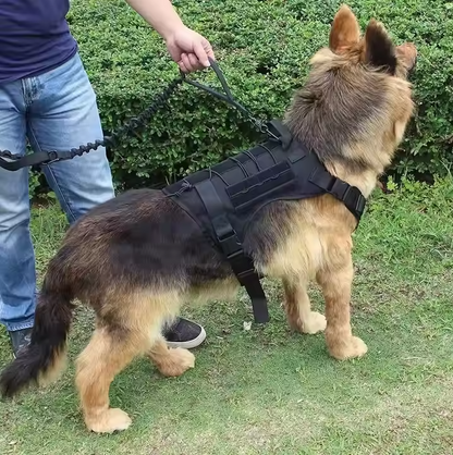 Tactical Harness for Dogs