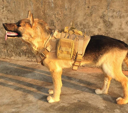Tactical Harness for Dogs