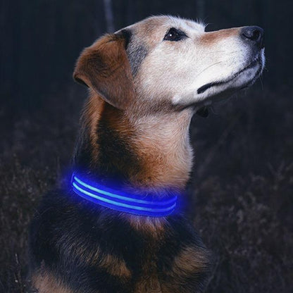 USB Rechargeable LED Collar for Dogs