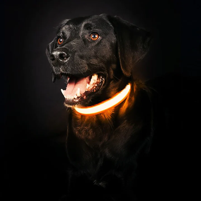USB Rechargeable LED Collar for Dogs