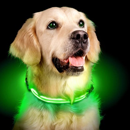 USB Rechargeable LED Collar for Dogs