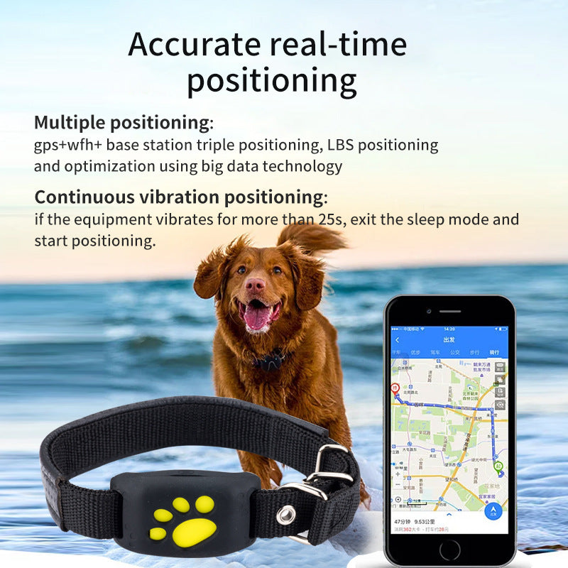 Juno Glow Collar – Rechargeable LED Dog Collar for Night Safety & Visibility