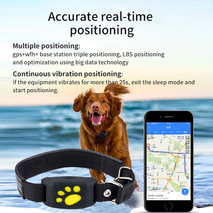 Juno Glow Collar – Rechargeable LED Dog Collar for Night Safety & Visibility
