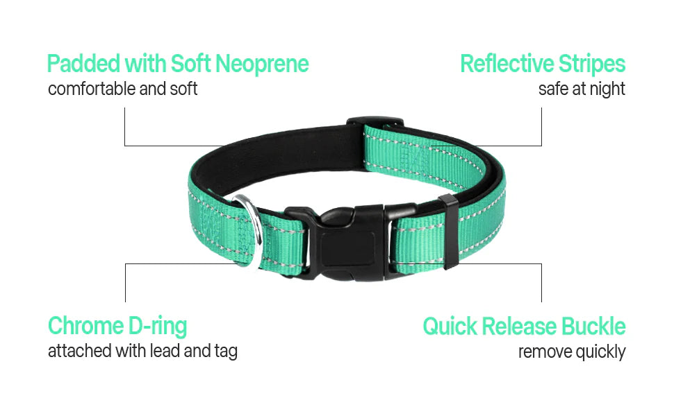 Harper Reflect Collar – Adjustable Reflective Dog Collar for Safety & Outdoor Walks