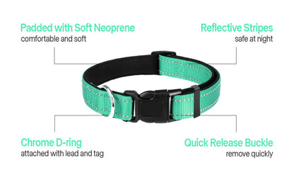 Harper Reflect Collar – Adjustable Reflective Dog Collar for Safety & Outdoor Walks